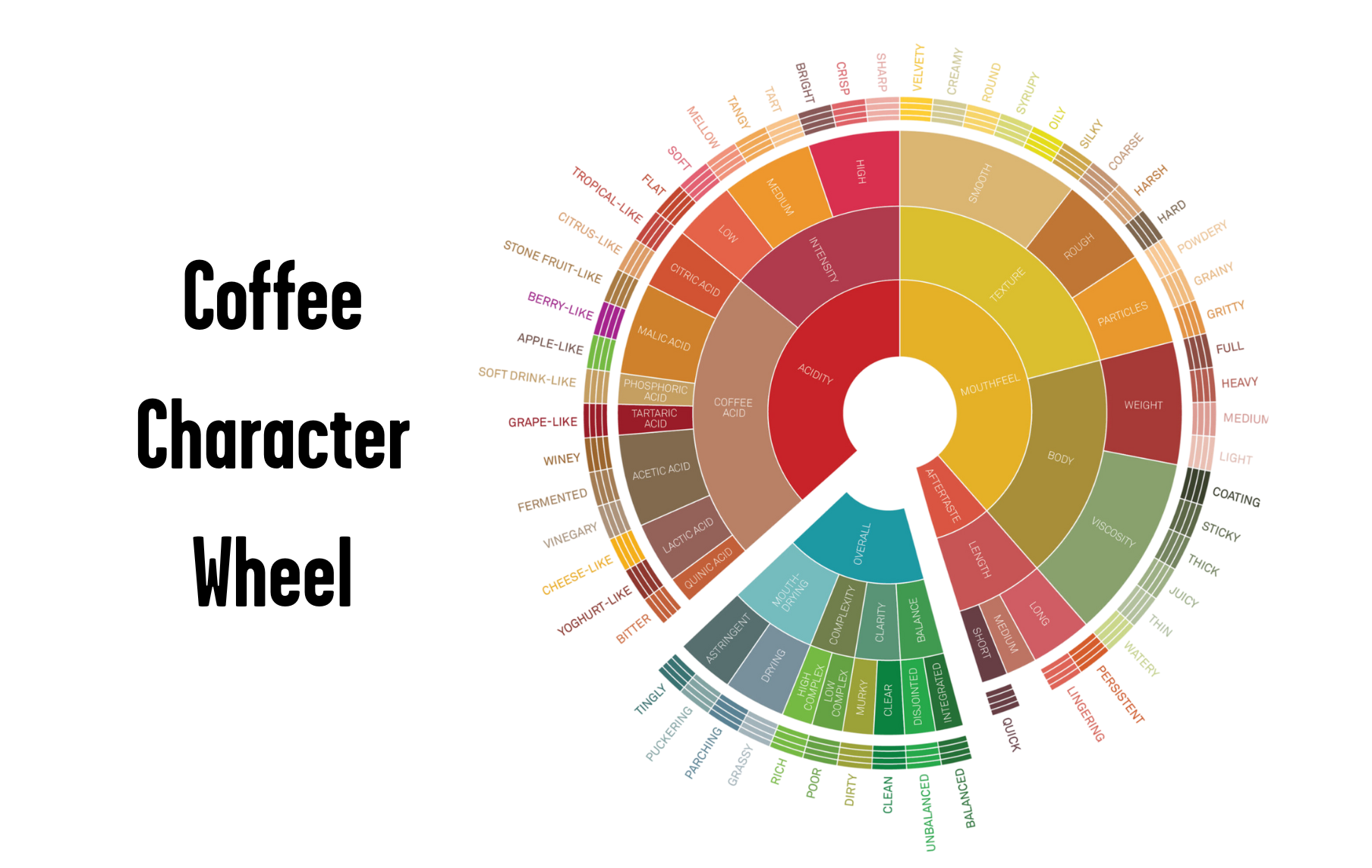 Coffee Flavor Notes and Personalities: What Your Brew Reveals About You