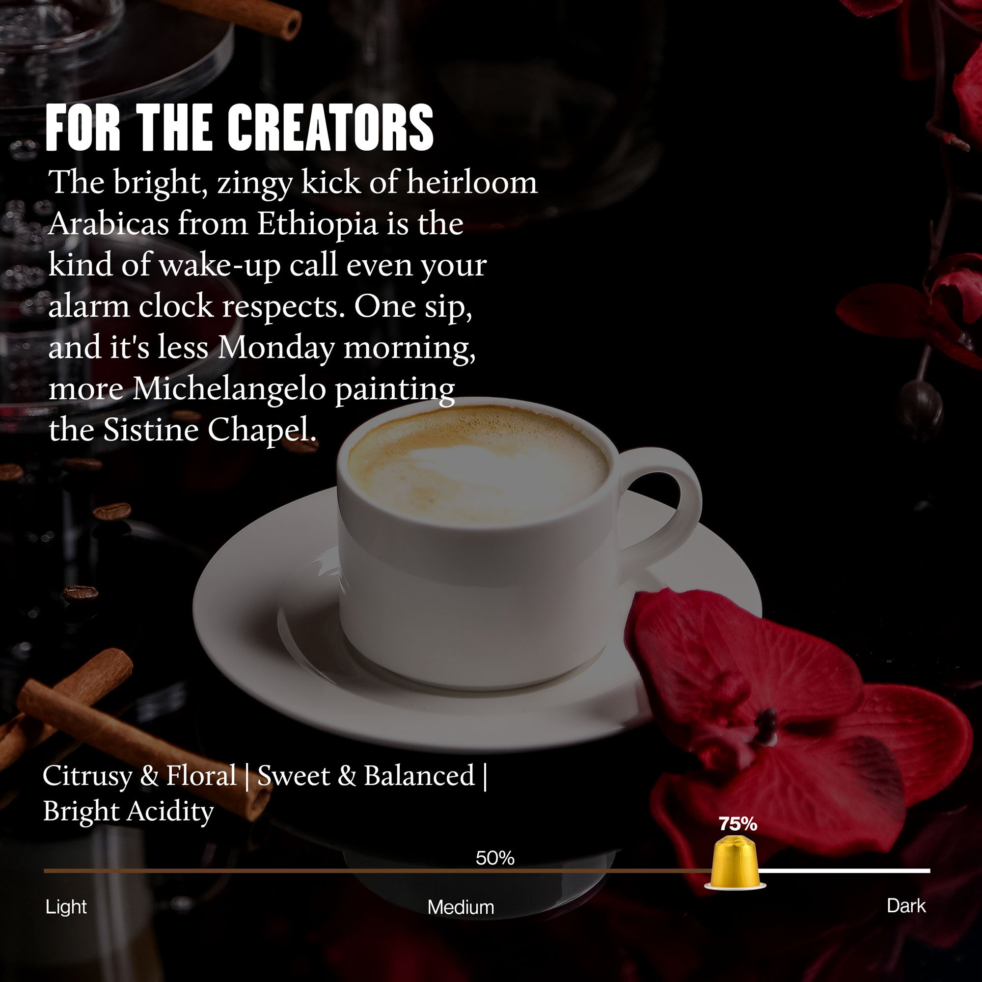 Single Set – 10 Aluminium Coffee Capsules