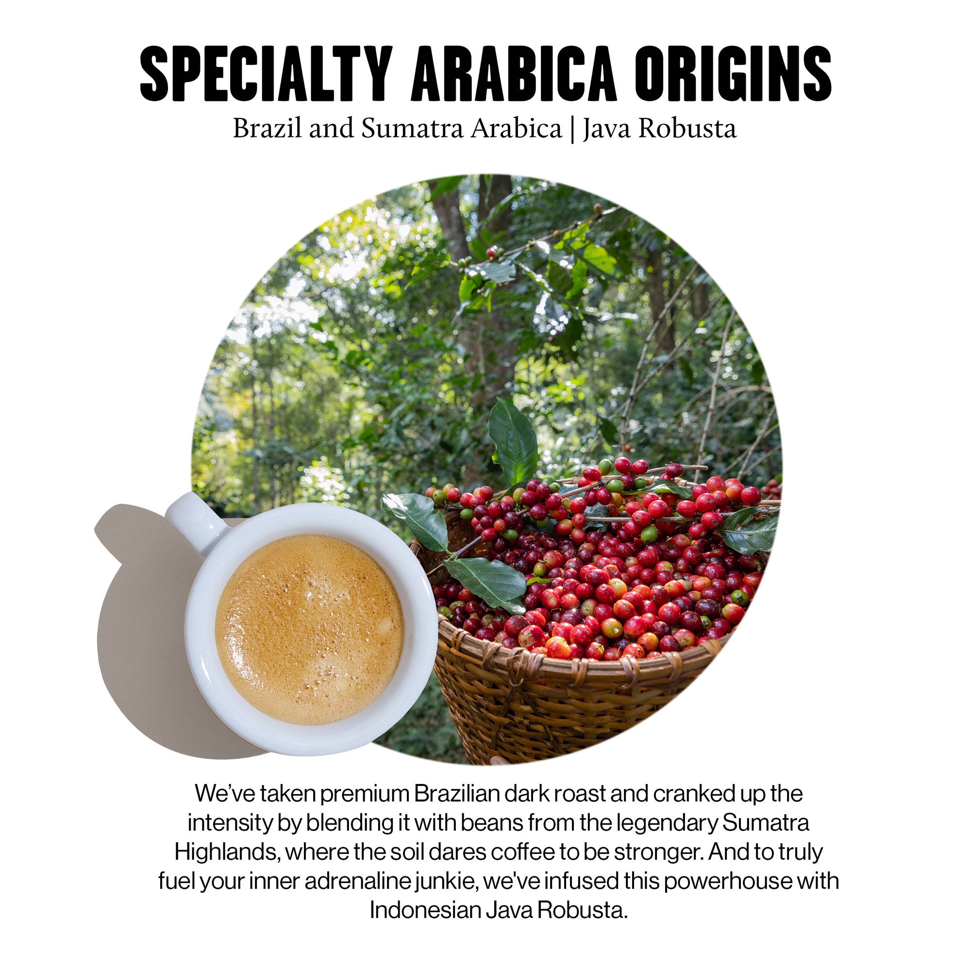 Single Set – 10 Aluminium Coffee Capsules