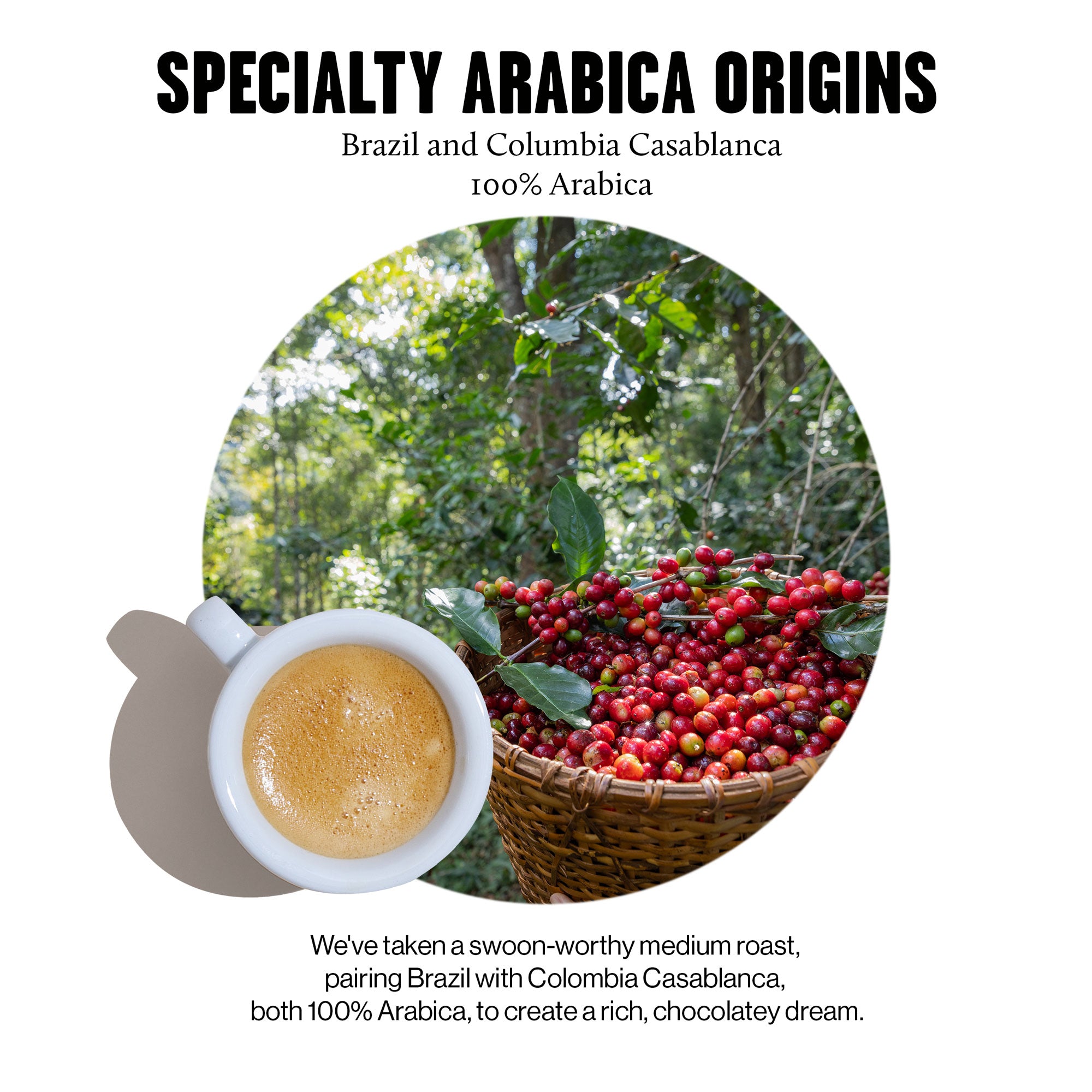 Single Set – 10 Aluminium Coffee Capsules