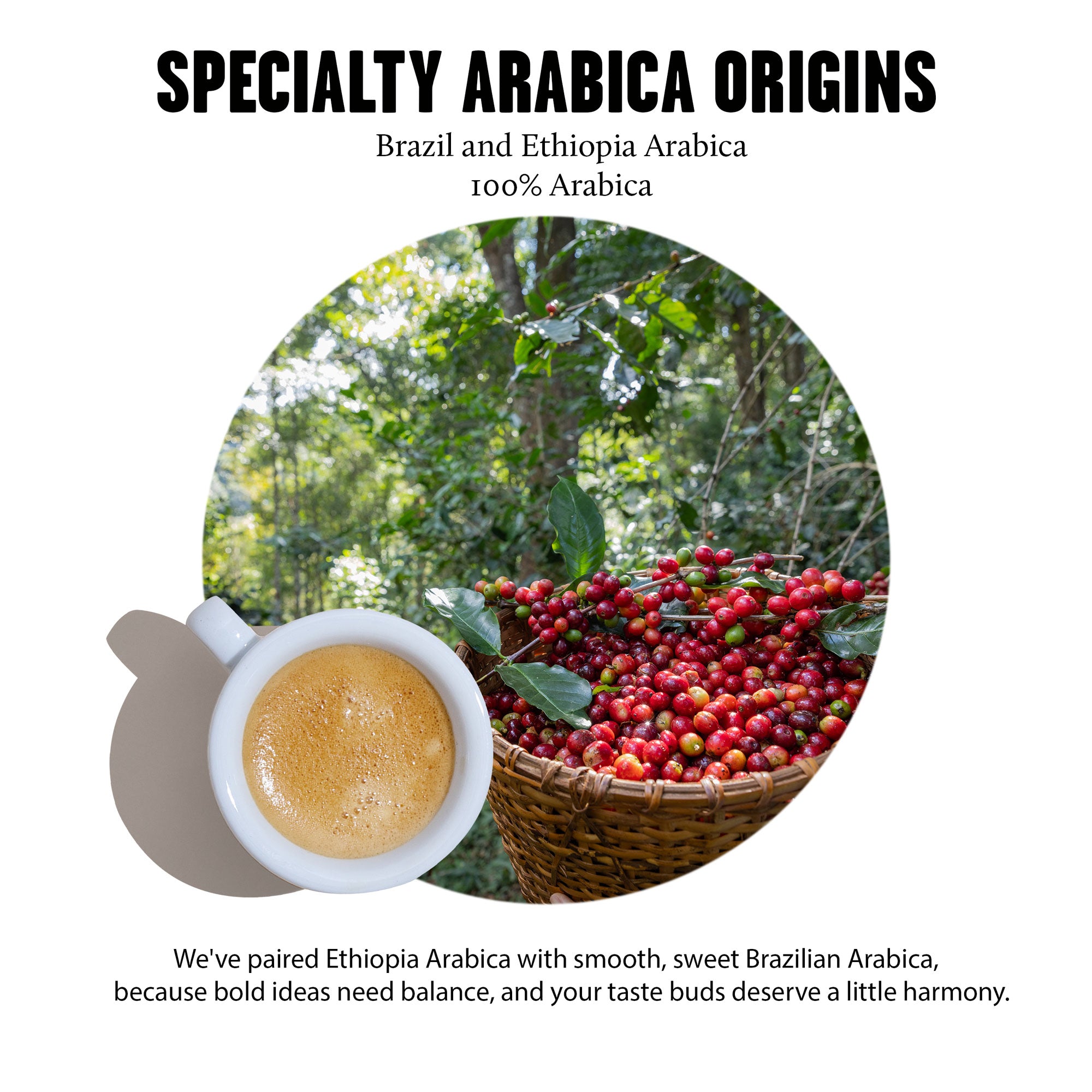 Single Set – 10 Aluminium Coffee Capsules